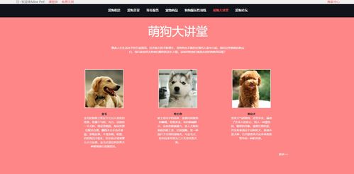 寵物狗個(gè)性化服務(wù)網(wǎng)站前端設(shè)計(jì) —— 基于HTML5與DIV+CSS的靜態(tài)網(wǎng)頁(yè)實(shí)現(xiàn)